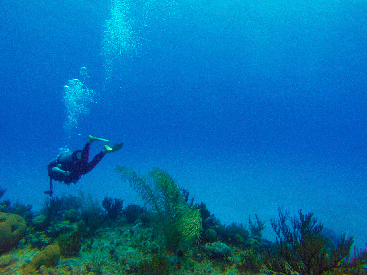 Buceo. Colombia