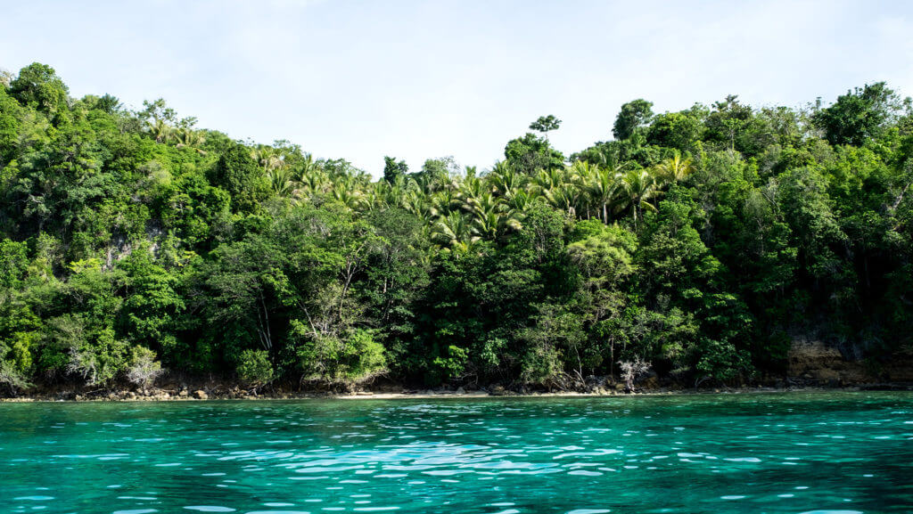 Paraísos tropicales en la isla de Malenge en las Togean Islands de Sulawesi
