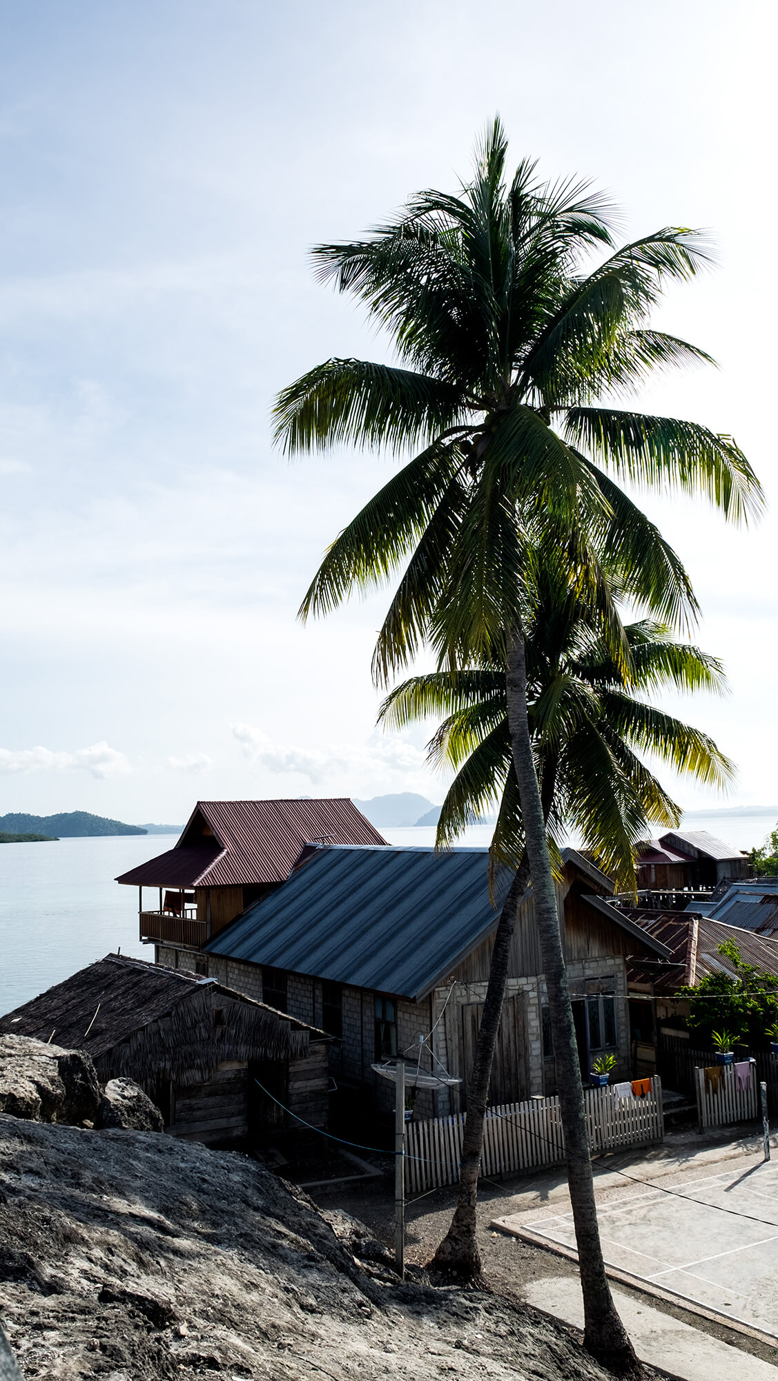 Palmera presidiendo una aldea bajau en las islas Togean de Sulawesi