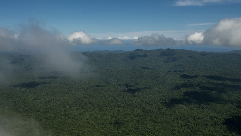 Sobrevolando la selva de Papúa a vista de pájaro