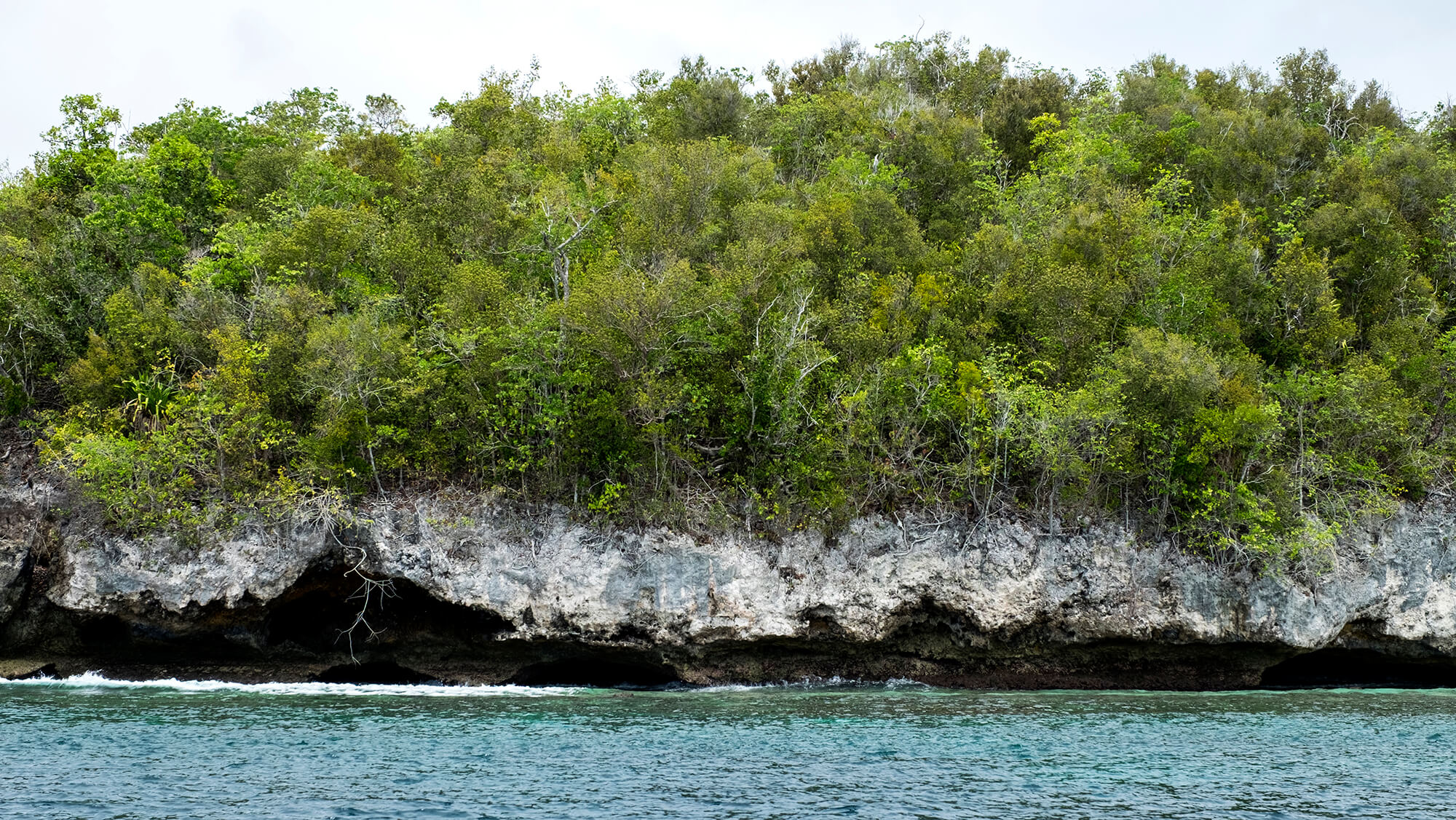 Islotes de Piedra caliza en el acrchipiélago de Raja Ampat en Papúa