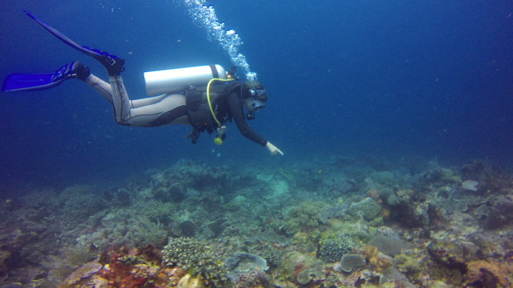 Buceo extraordinario en el paraíso submarino de Raja Ampat en Papúa
