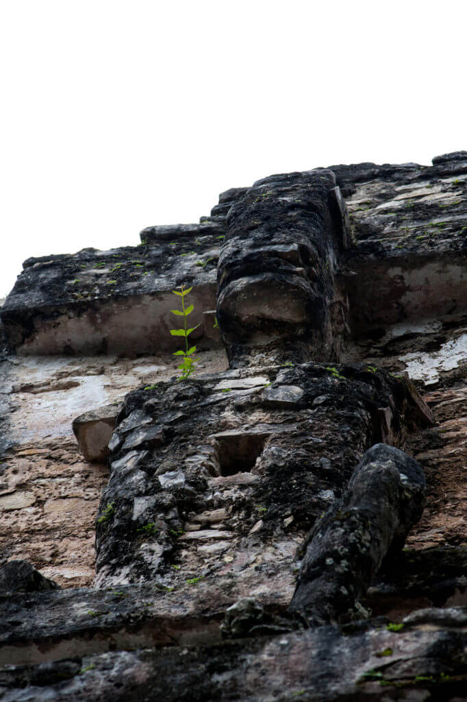 Las ruinas mayas de Yaxchilán en plena selva