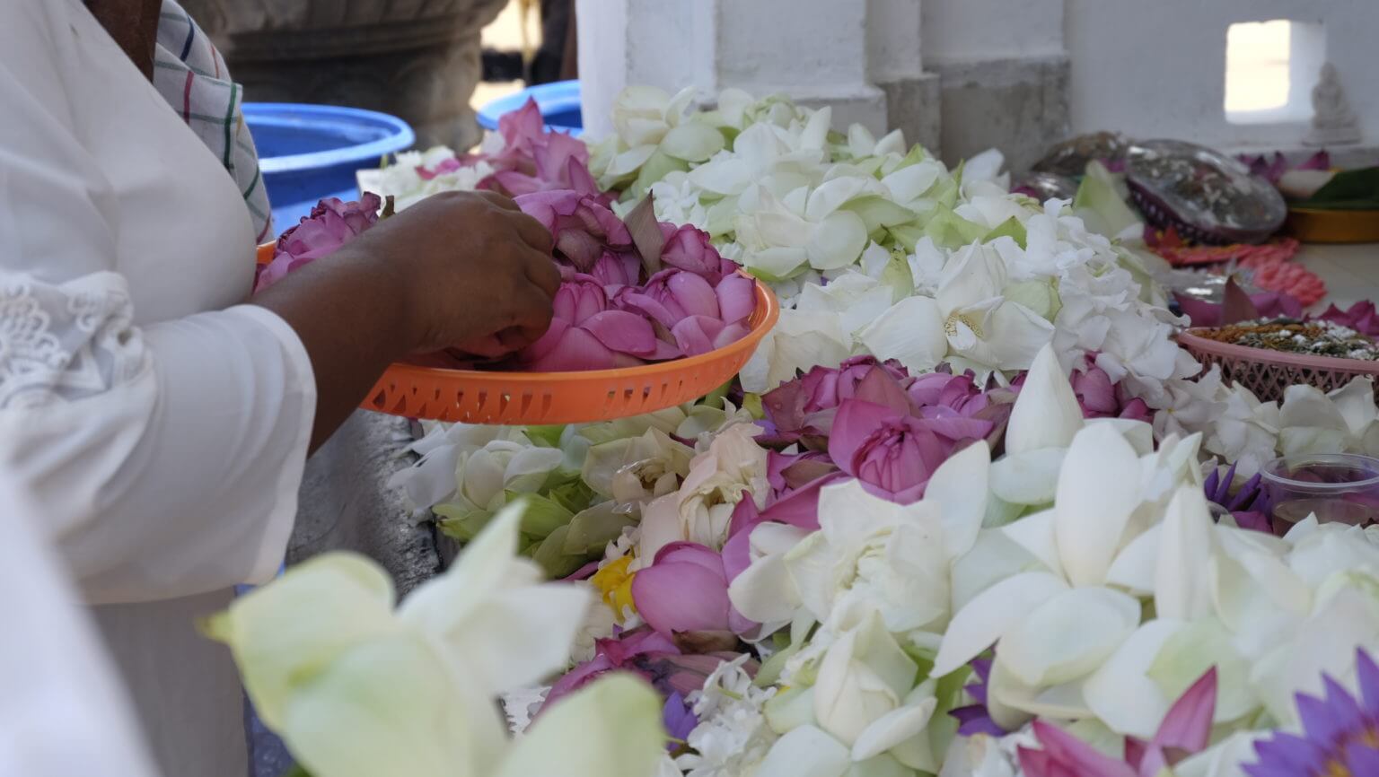 Flores y ofrendas en Sri Lanka