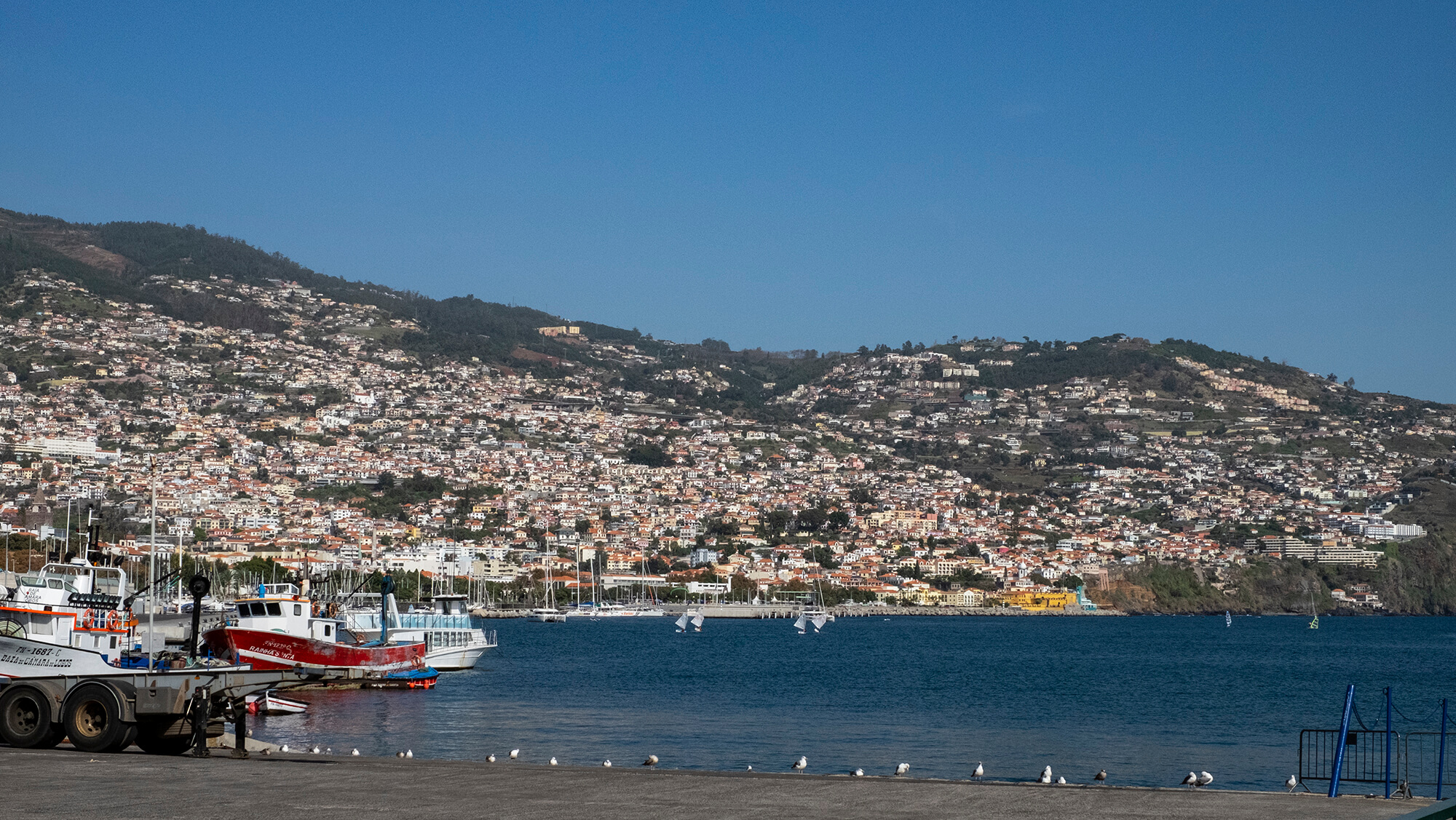 Qué ver en la isla de Madeira - Portugal