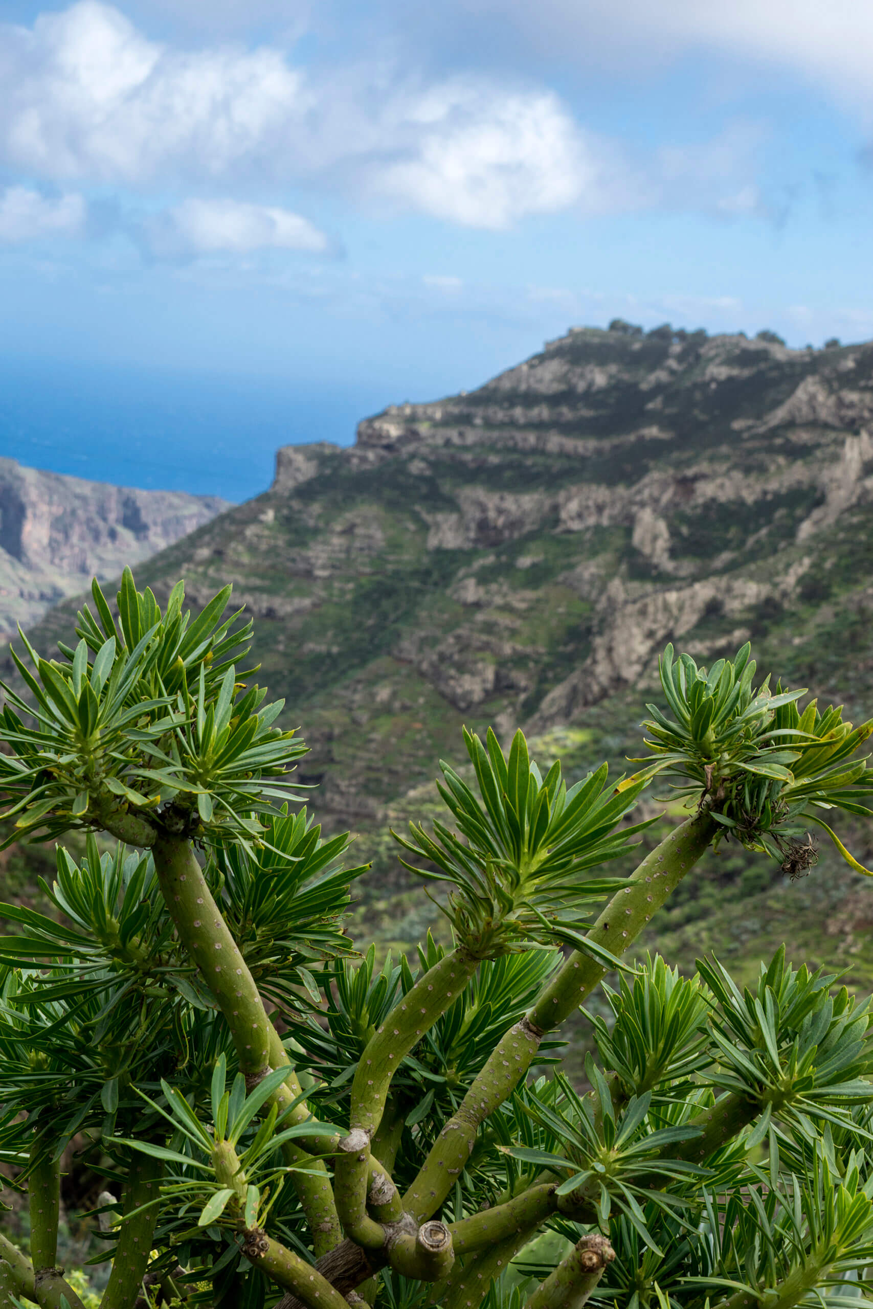 Paraíso de La Gomera - Islas Canarias
