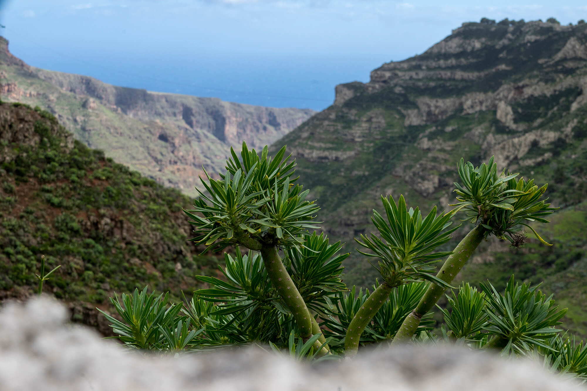 Paraíso de La Gomera - Islas Canarias