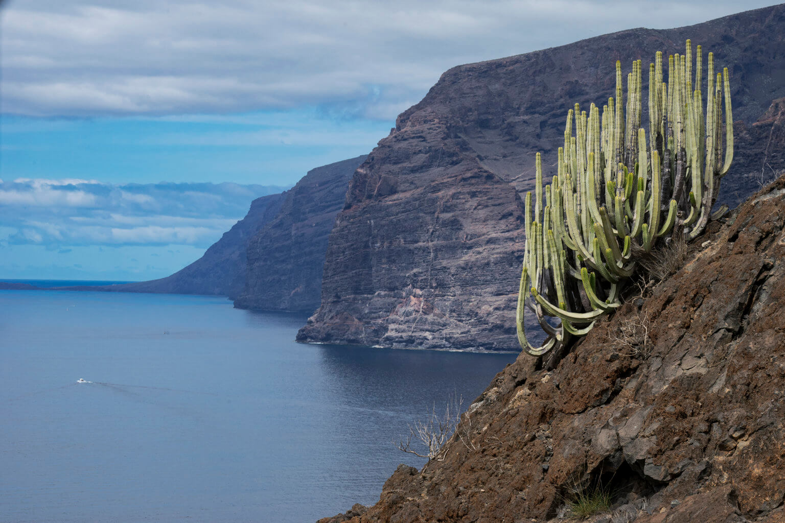 15 lugares imprescindibles que ver en Tenerife - TrotandoMundos